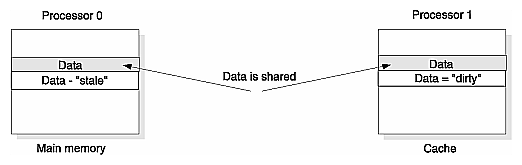 Figure 2-10 Shared Data