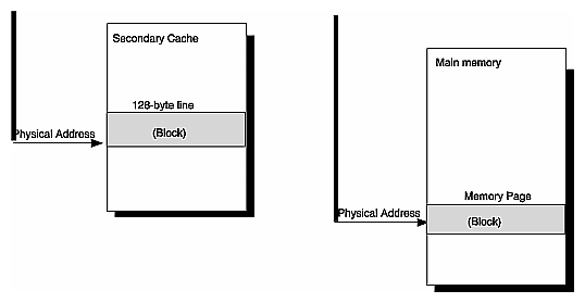 Figure 2-5 Cache Lines and Memory Pages