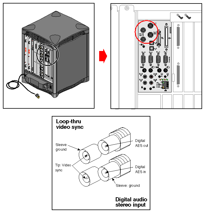 Figure 4-15 Loopthrough and Digital Audio Connectors