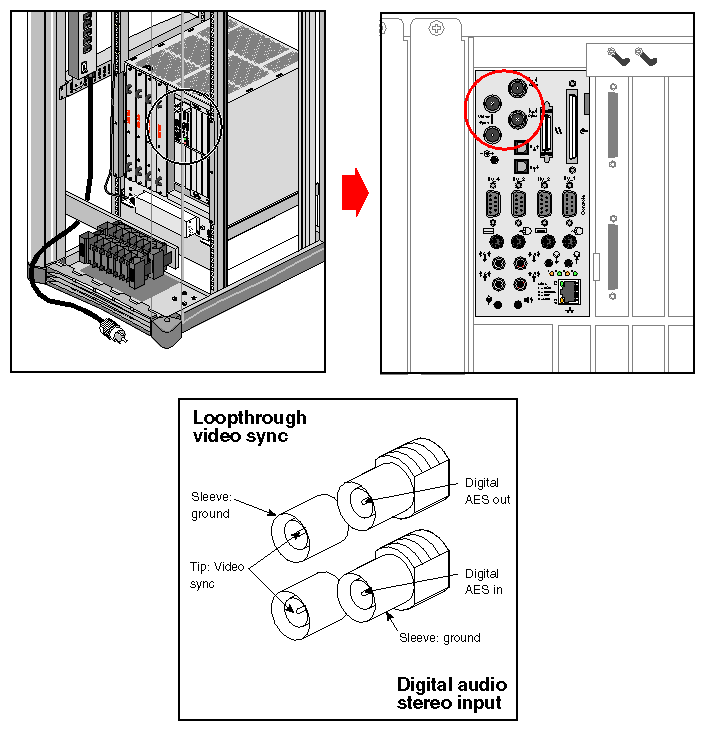 Figure 3-21 Loopthrough and Digital Audio Connectors