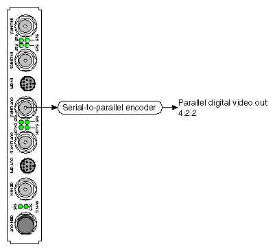 Figure 1-11 Parallel Digital Video Connections to DIVO/DIVO-DVC OUT
