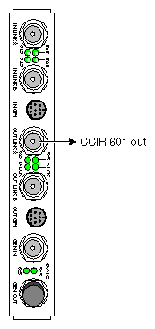 Figure 1-4 DIVO/DIVO-DVC OUT to CCIR 601 