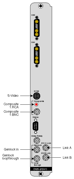 Figure 1-2 DG5-2/GVO Video Connectors