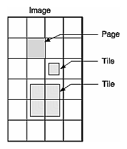 Figure 2-8 Pages and Tiles of Image Data