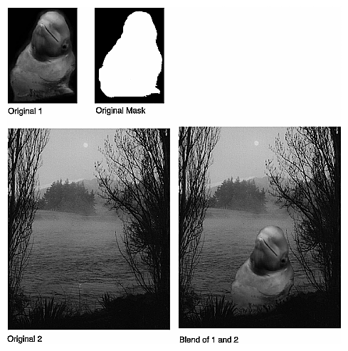 Figure 4-33 Blended Images