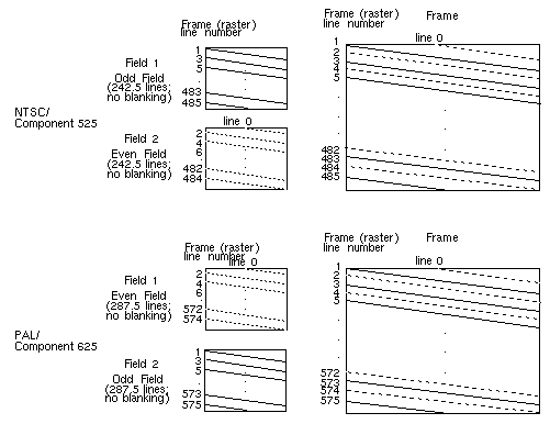 Figure C-11 Fields and Frames for NTSC and PAL