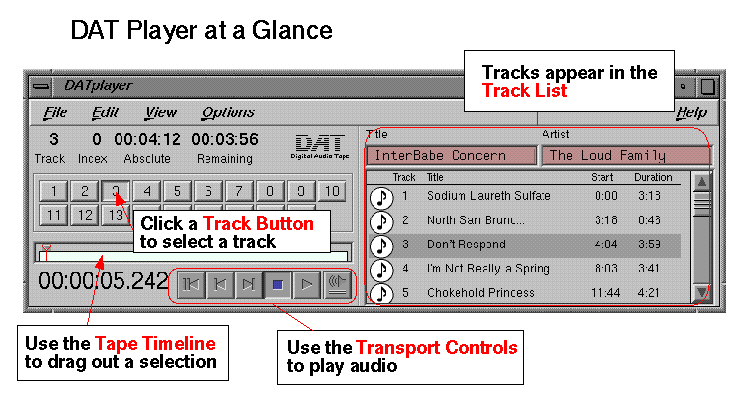 Figure 8-1 DAT Player at a Glance (Click Image For Enlarged View)