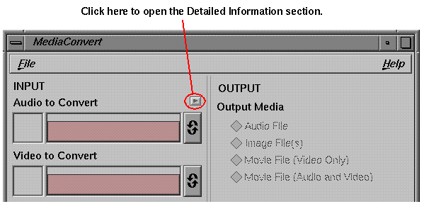 Figure 2-15 Opening the Detailed Information Section