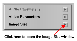Figure 2-6 The Image Size Button