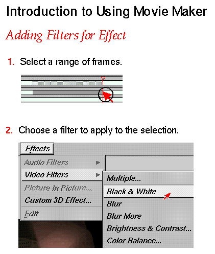Figure 3-5 Visual Introduction: Adding Filters for Effect (Click Image to Display Enlarged View)