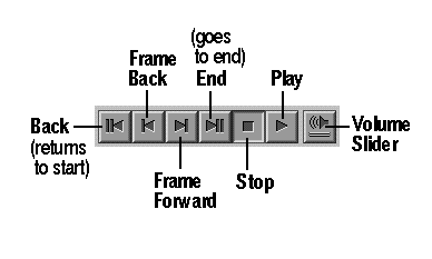 Figure 3-26 Movie Maker Transport Controls