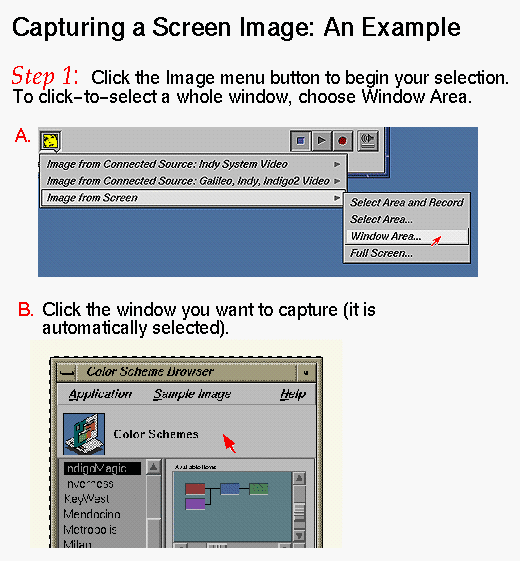 Figure 1-1 Capturing a Screen Image: Step 1 (Click to Display Enlarged View)