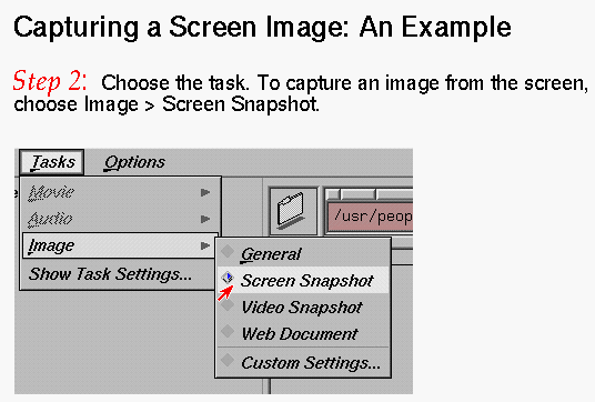 Figure 1-2 Capturing a Screen Image: Step 2 (Click to Display Enlarged View)