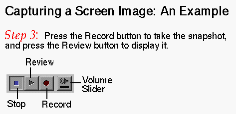 Figure 1-3 Capturing a Screen Image: Step 3 (Click to Display Enlarged View)