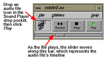 Figure 6-1 Playing an Audio File