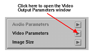 Figure 2-11 The Video Output Parameters Button