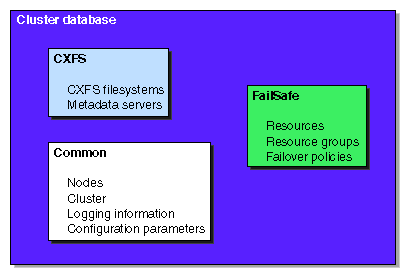 Contents of a Coexecution Cluster Database
