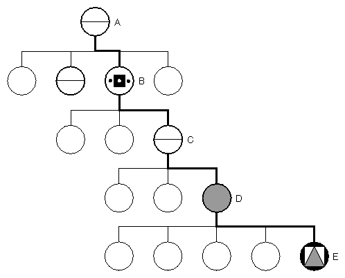 Figure 9-1 Highlight Path