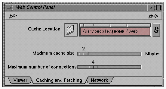 Figure 2-1 Main Window Showing Caching and Fetching Tab