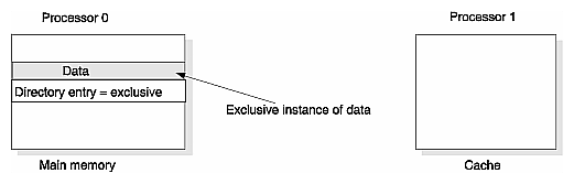 Figure 2-9 Exclusive Data